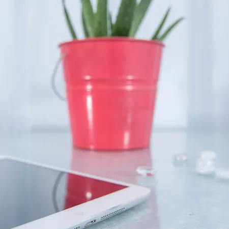 Paradise Aparthotel 3*