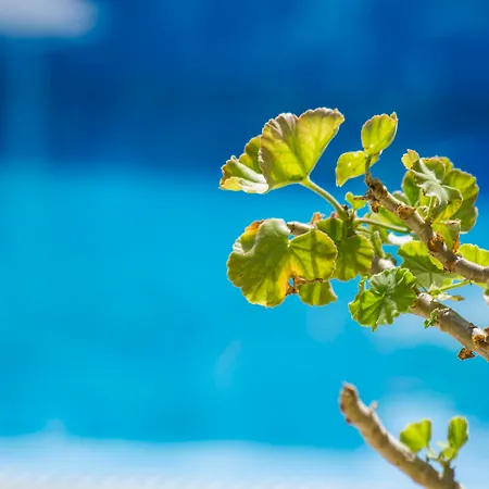 Aparthotel Paradise 3*