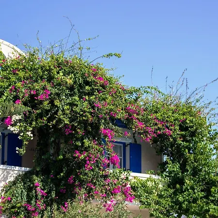 מלון דירות Paradise 3*