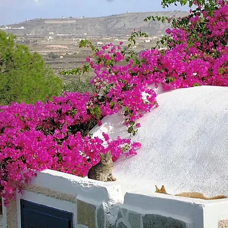 Aparthotel Paradise