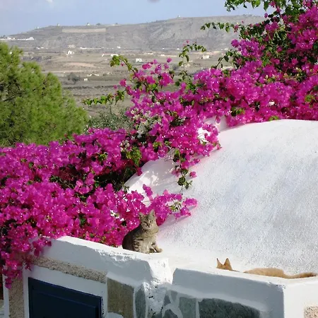 Hotel apartamentowy Paradise Akrotírion