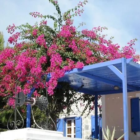 Paradise 3*