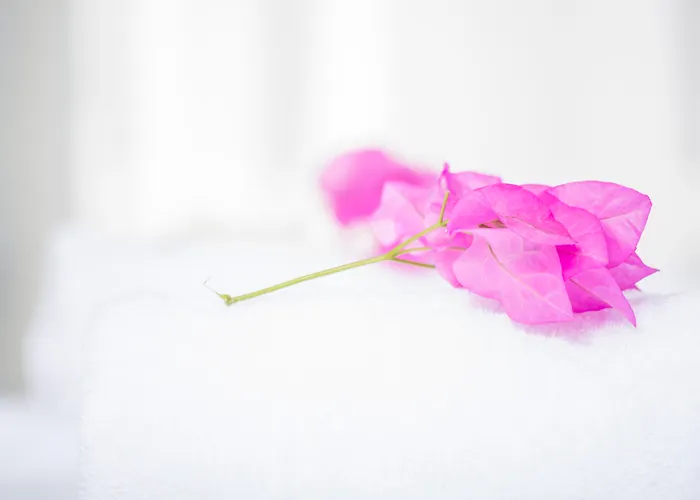 Paradise Aparthotel 3*