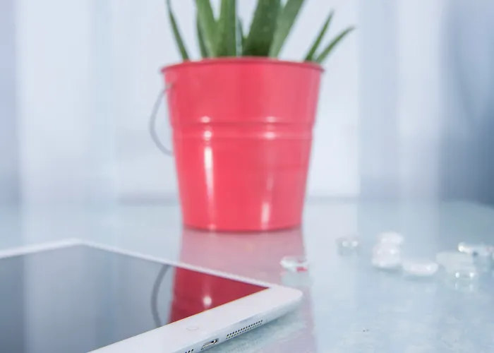 Paradise Aparthotel 3*