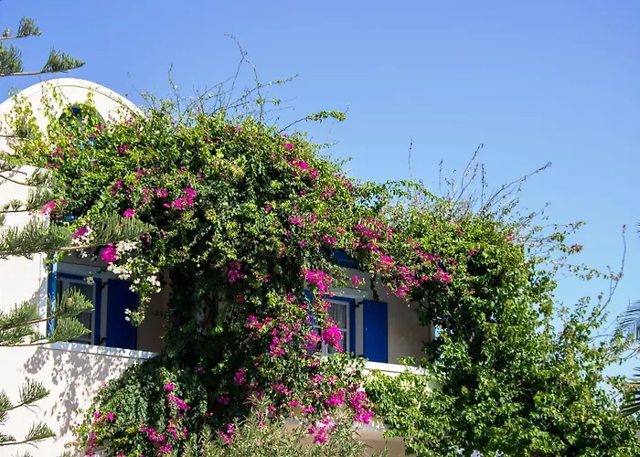 Aparthotel Paradise 3*