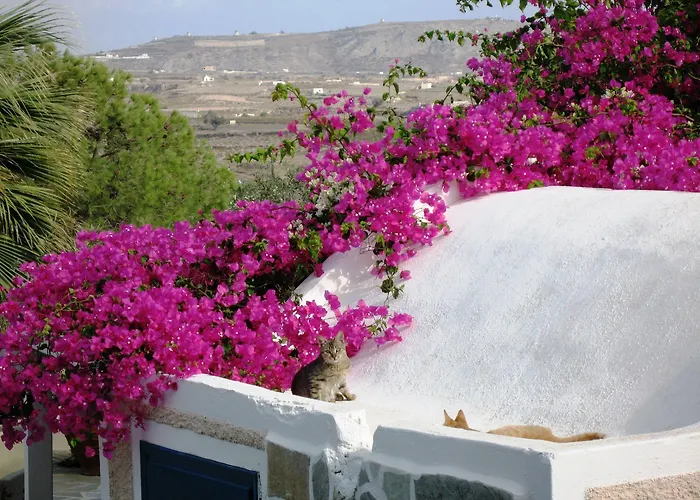 Paradise Aparthotel Akrotiri (Santorini)