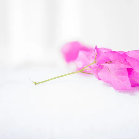 Paradise Aparthotel 3*